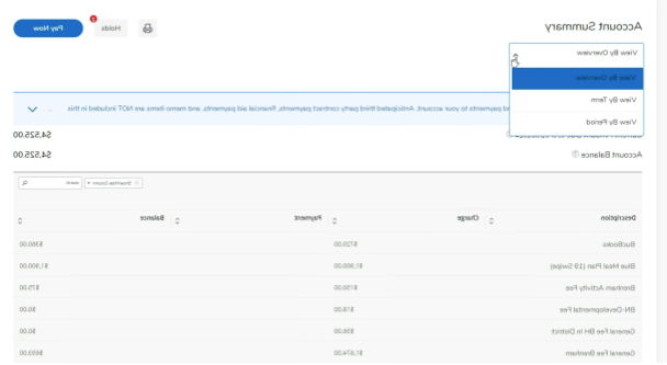 charges-and-payments-account-summary-visual.png